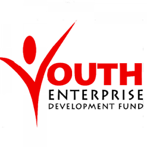 Youth enterprise fund