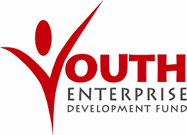 youth fund